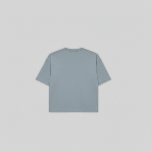 CAMISETA BOXY FIT GRIS