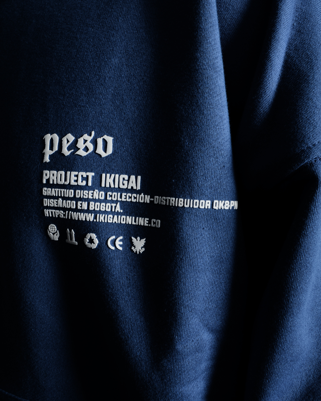 HOODIE BOXY FIT 500 GRAMOS DE ALGODON