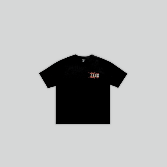 CAMISETA BOXY FIT | GALAAIXN 400GR